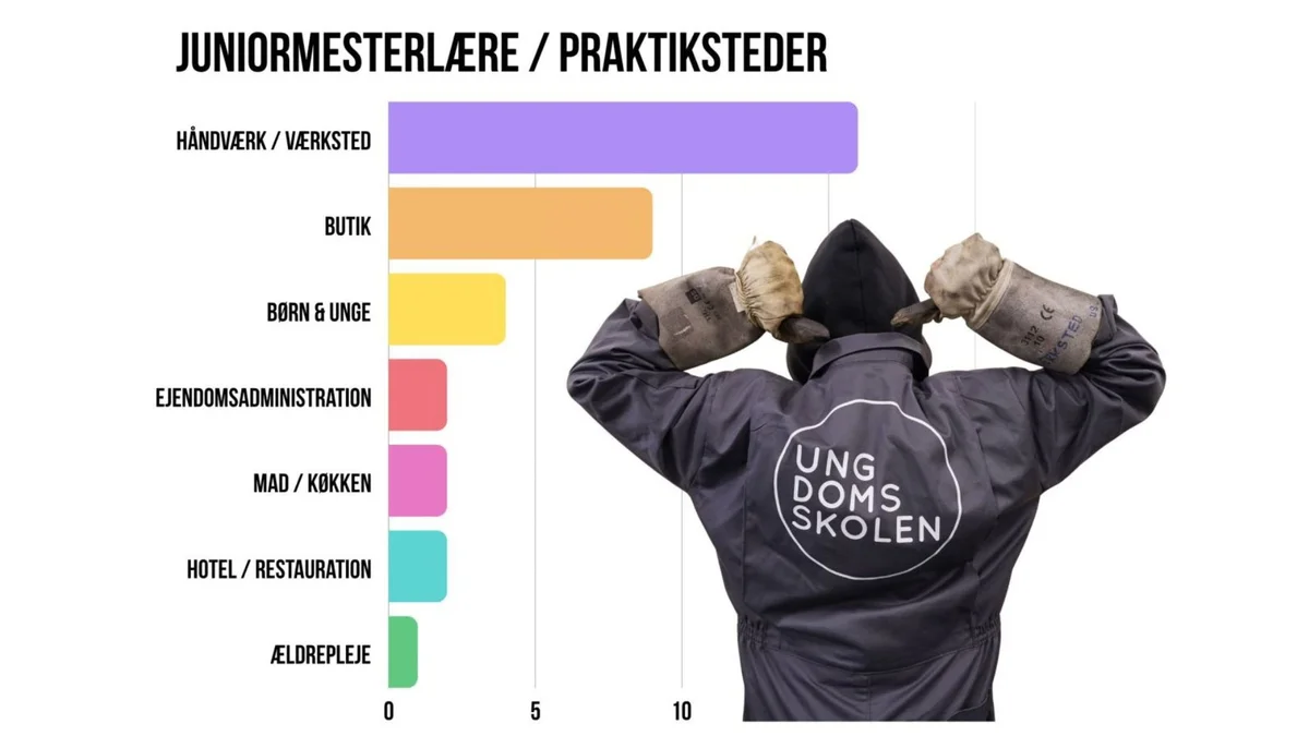 Figur der viser hvem der har taget flest elever i praktik